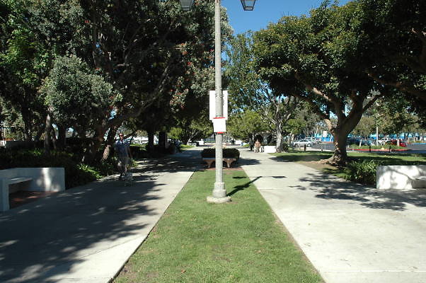 DSC 0131