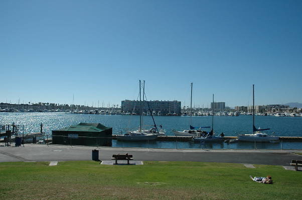 DSC 0150