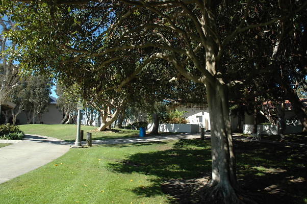DSC 0134