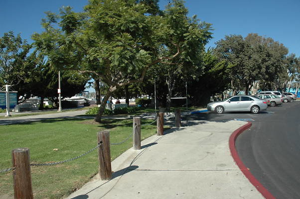 DSC 0117