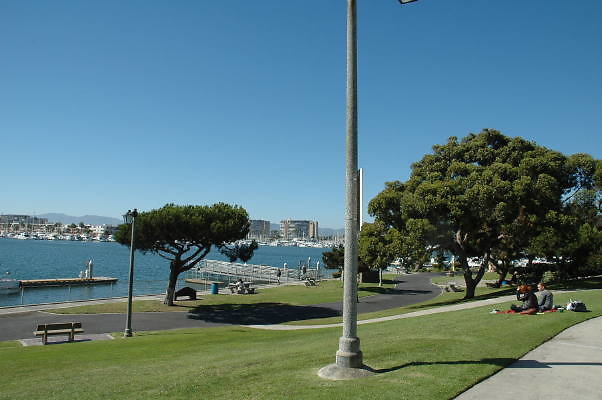 DSC 0151