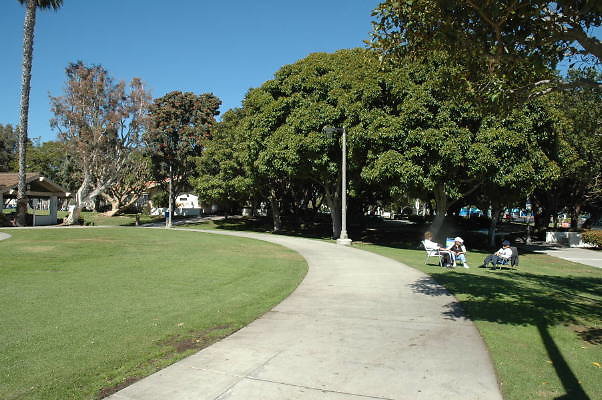 DSC 0137