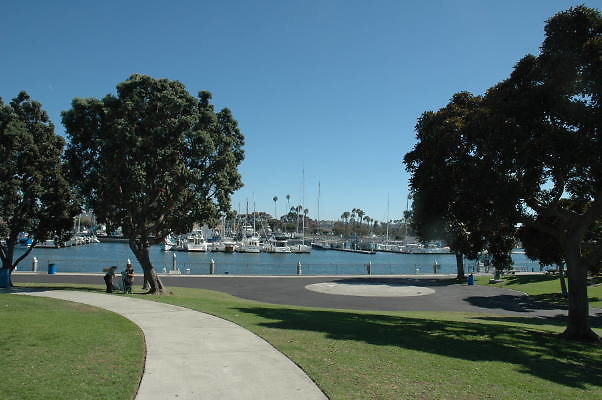 DSC 0154