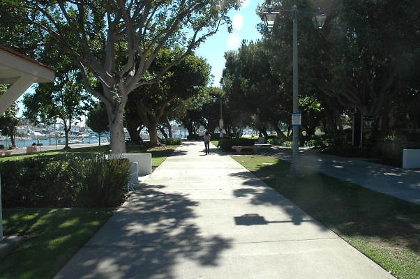 DSC 0120