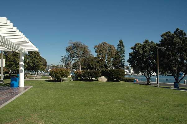 DSC 0153