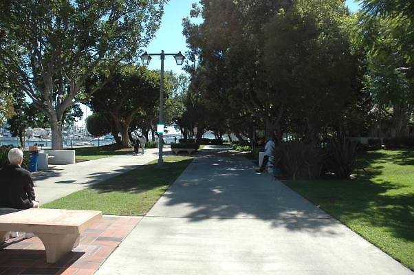 DSC 0126