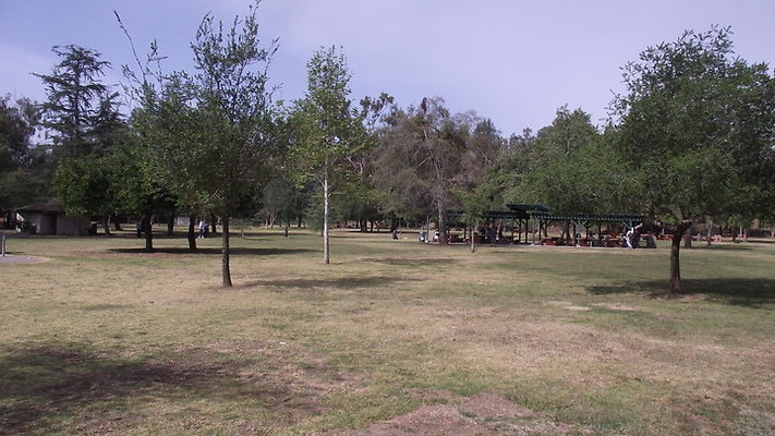 DSCF2512
