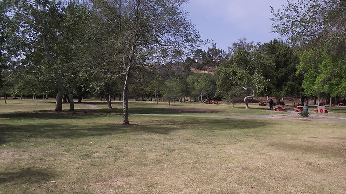 DSCF2514