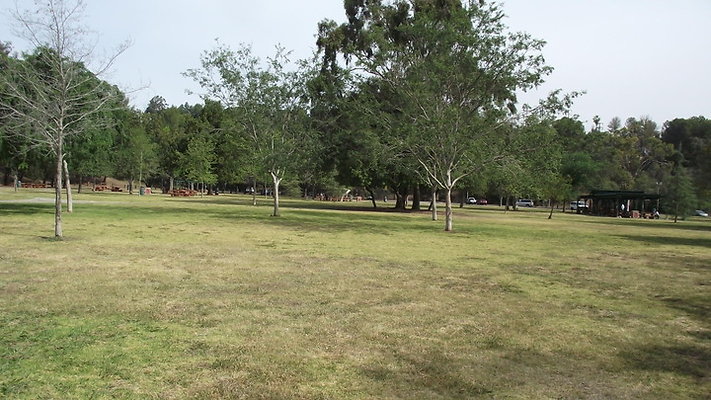 DSCF2503
