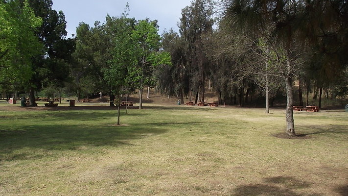 Ernest Debs Green Park Area
