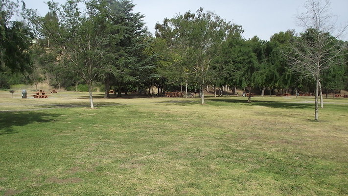 DSCF2502