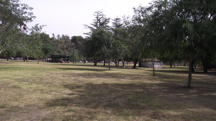 DSCF2504