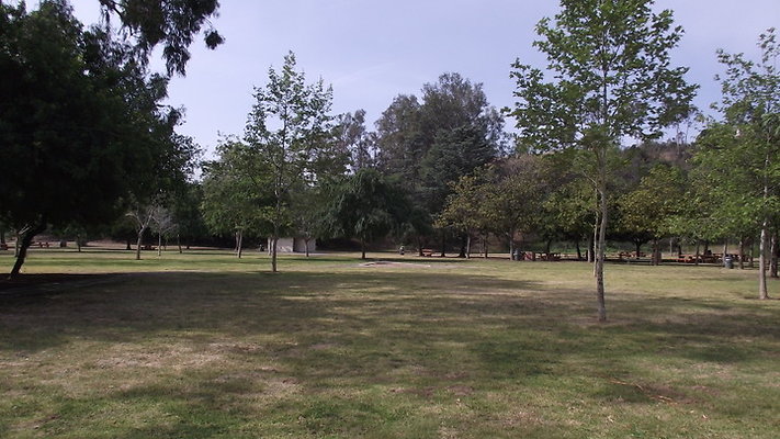 DSCF2497