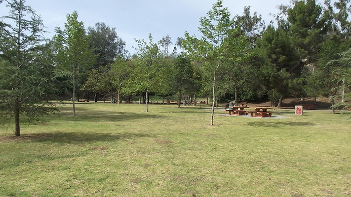 DSCF2496