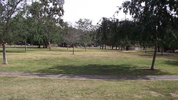 DSCF2505