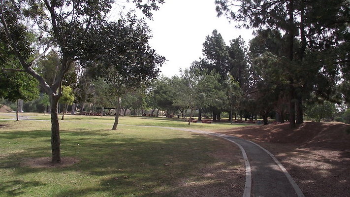 DSCF2507
