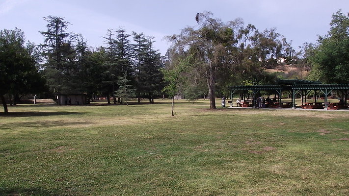 DSCF2513