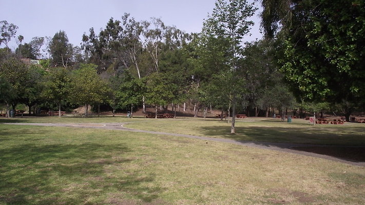 DSCF2500