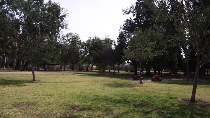 DSCF2508