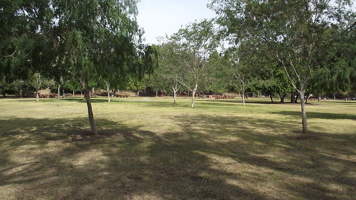 DSCF2506