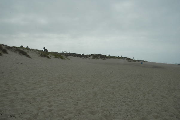 DSC 0138