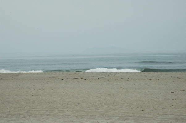 DSC 0148b