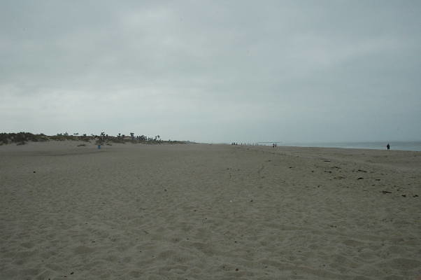 DSC 0141