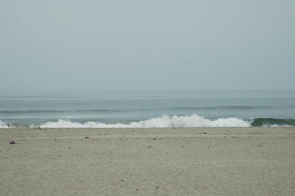 DSC 0160