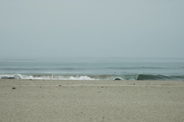 DSC 0159