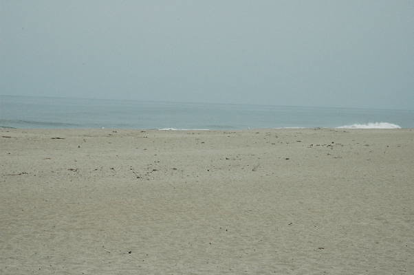 DSC 0162