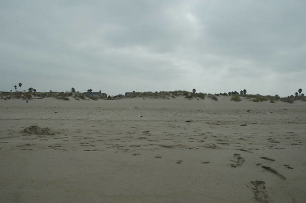 DSC 0151