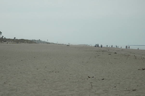 DSC 0140