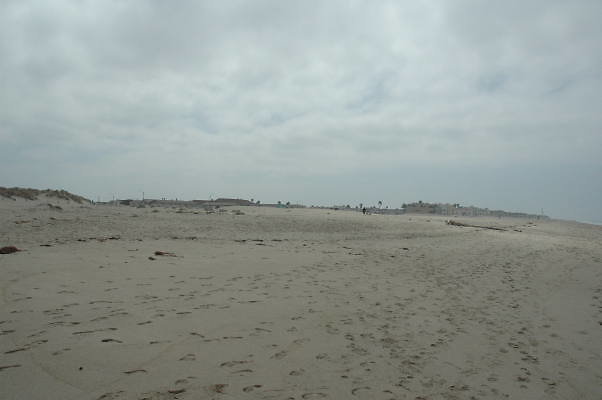 DSC 0197