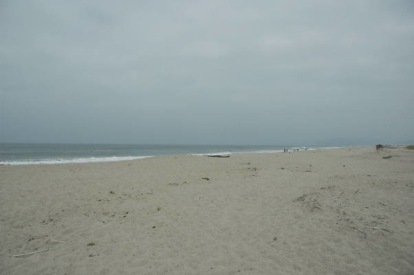 DSC 0177