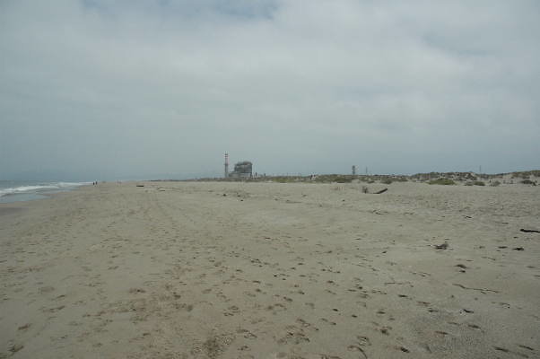 DSC 0195