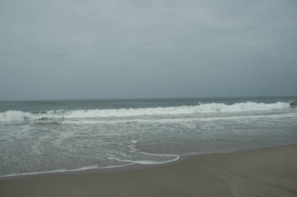 DSC 0214