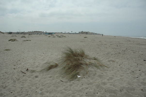 DSC 0183
