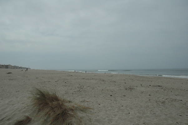 DSC 0175