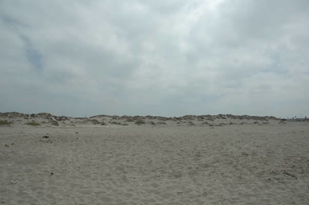 DSC 0207