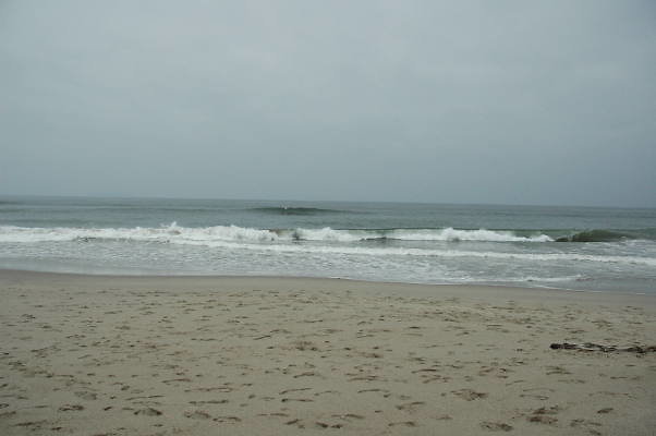 DSC 0185