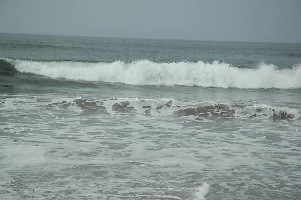 DSC 0213