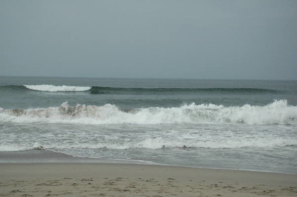 DSC 0188