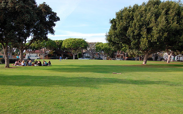DSC 0272