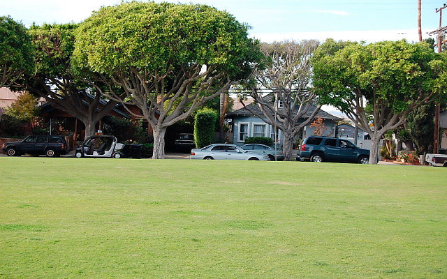 DSC 0260