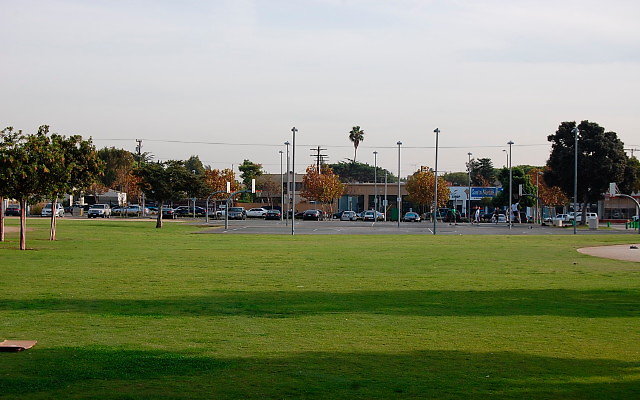 DSC 0266