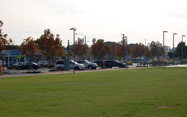 DSC 0293
