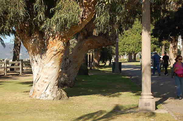DSC 0142