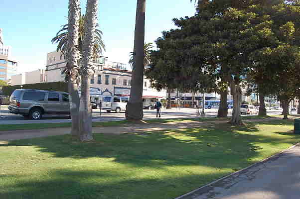 DSC 0201