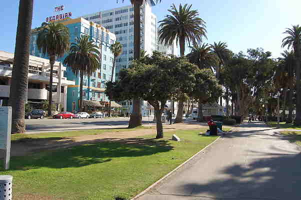 DSC 0155