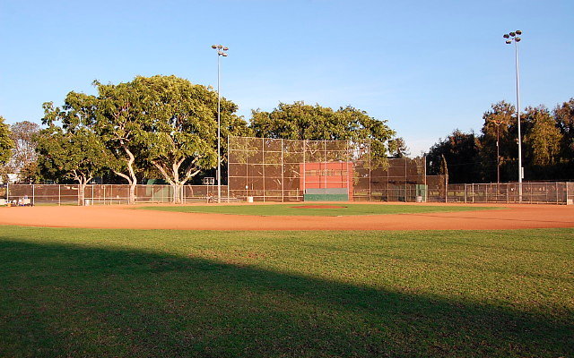 DSC 0253